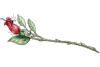 image.gif.fefac1704325b6be9a05a860e2ad2f5b.gif