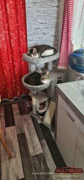 Unsere beiden süßen1.jpg