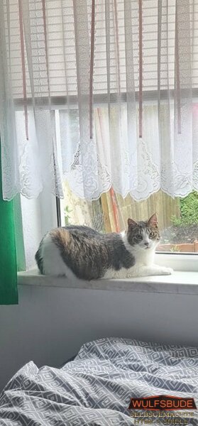 Unsere beiden süßen2.jpg