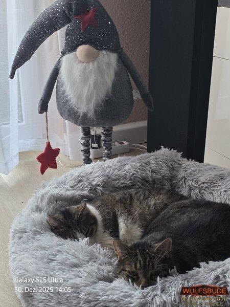 unsere babys  (2).jpeg