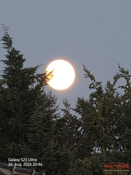 Vollmond / Bad Salzuflen